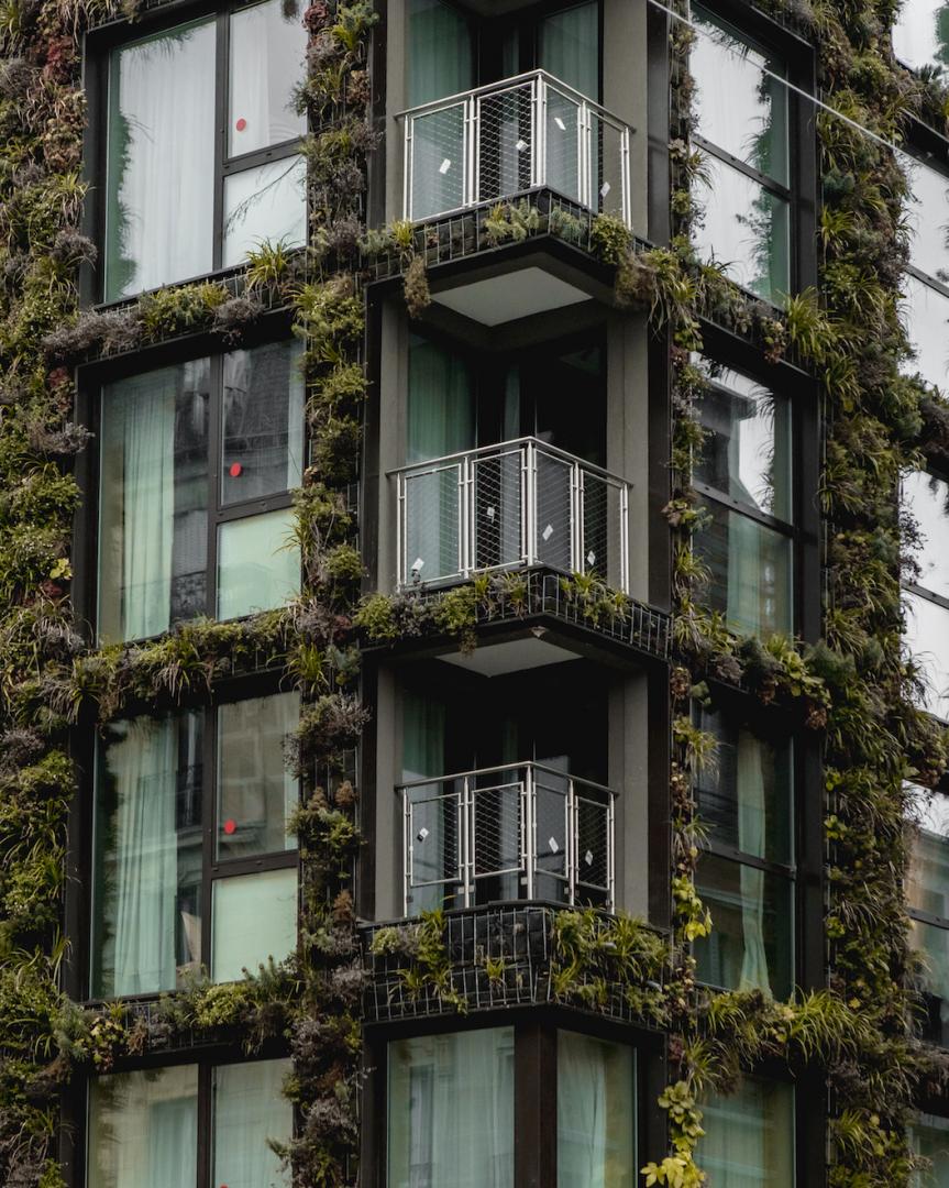 La Belle Ville Paris - Green wall